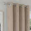 Rodenal Blackout Curtain Pair-1540826618-1540826614