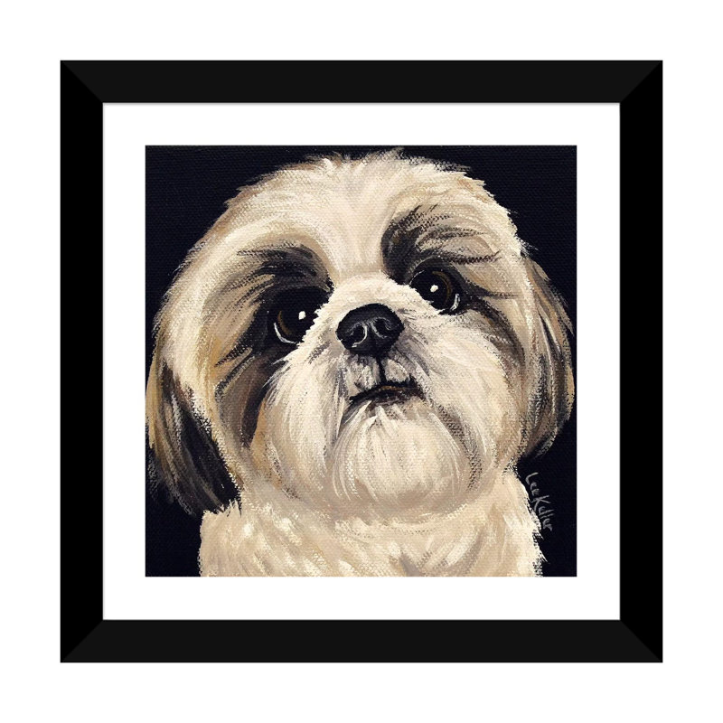 «Shih Tzu On Black I», reproduction de photo, H 24 po x l 24 po x p 1 po, Papier noir