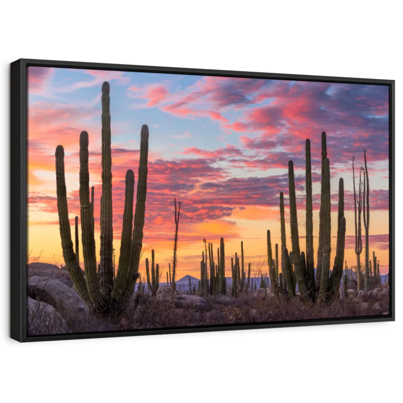 Nature «Art mural Baja California Sunrise», H 9 po x l 13 po
