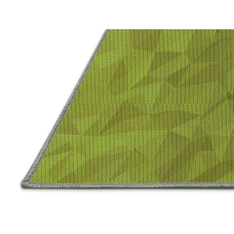 Indoor Rug, Rectangle 2' x 4'