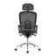 Office Chair with Headrest