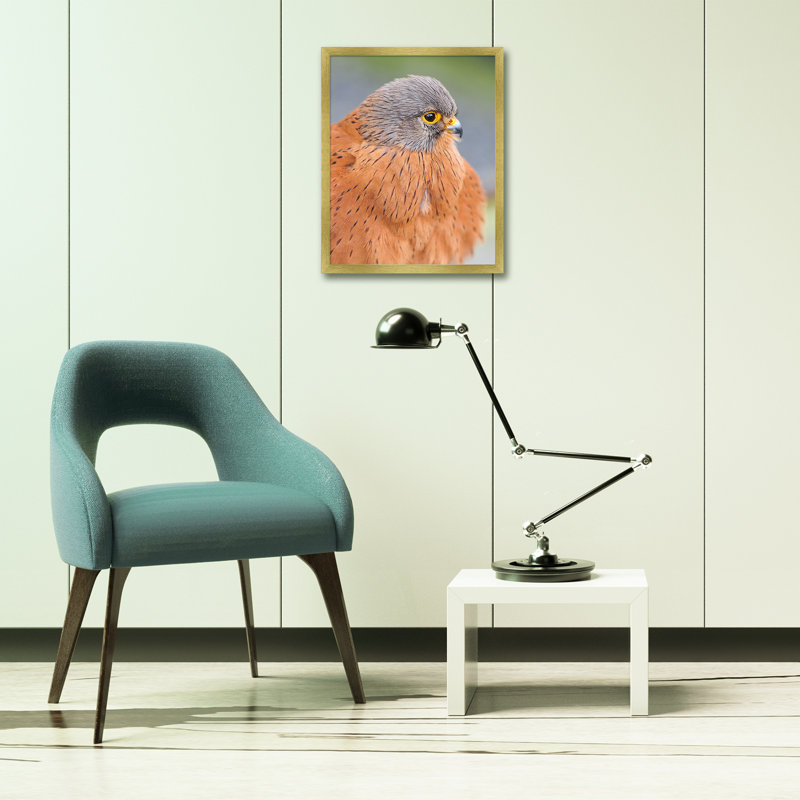 Cadres photos muraux Matte Gallery - Basics by Wayfair ™, 16 po x 20 po emmêlé à 11 po x 14 po, Doré