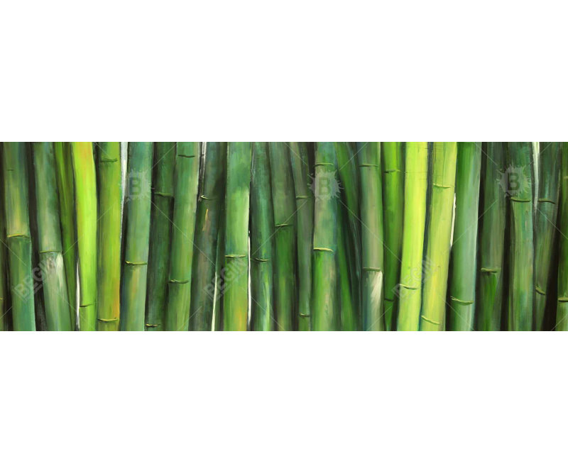 Green Bamboo Print On Canvas, 16" H x 48" W