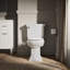 Brevia Toilet Seat with Quick-Release Hinges and Grip-Tight Bumpers-613614077-559542288