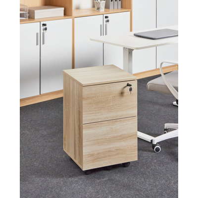 Johnson Storage Cabinet
