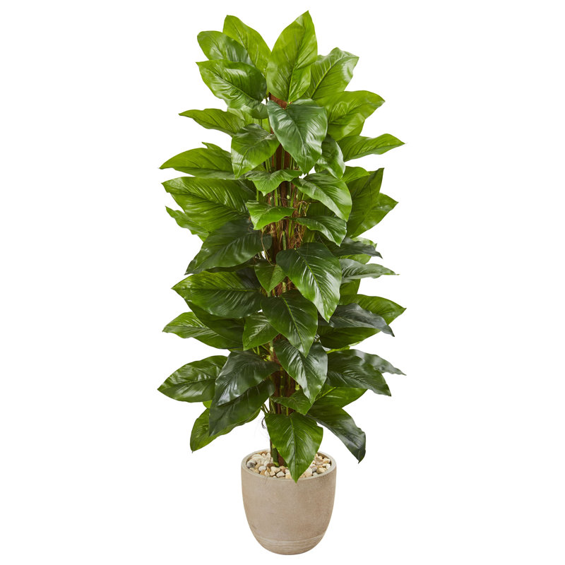 58'' Faux Philodendron Tree in Earthenware Pot