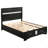Orchid Storage Bed-1988608216-1988608219
