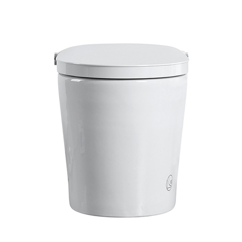 Tankless Smart Toilet With Bidet Built In, One-Piece, Auto Flush, Auto Open/Close,Heated Seat, Bubble Wash,Warm Water And Dry, Adjustable Temp,Remote Control Side Know