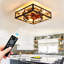 Ventilateur de plafond 17,66 po