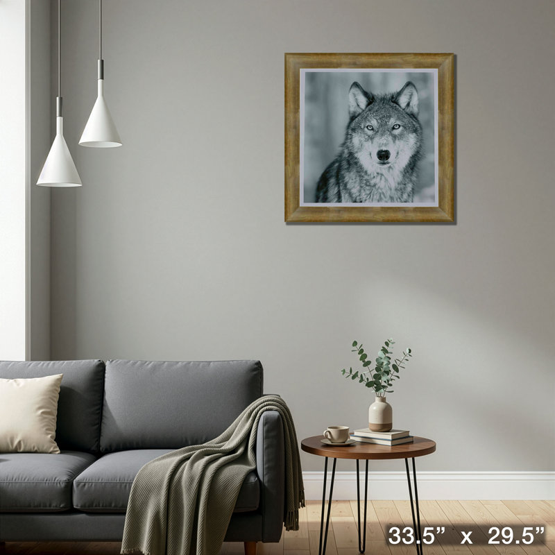 Portrait de loup encadré en noir et blanc