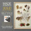 Champignon III - Reproduction encadrée de qualité supérieure - prêt à être accroché - aucun clou requis - aucun clou requis-1364198757-1364198754