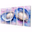 Blanc, rose, marbré, huîtres II - ensemble de reproductions d'art de coquillages-2095036710