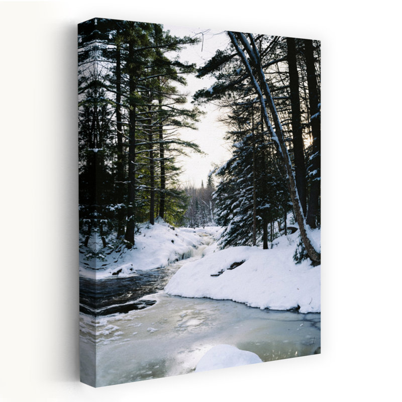 Yellow Dog River In Winter Upper Peninsula Michigan USA by Ted Carland - Wrapped Canvas Print, 152.4cm H x 101.6cm W