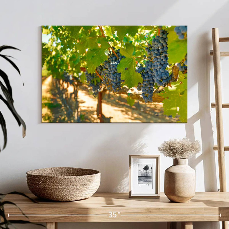 Raisins Yarlin Napa Valley