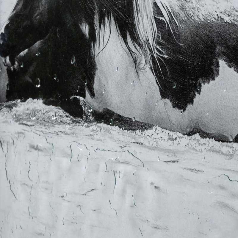 Water Horses III 1 by PH Burchett a Hand Embelished Textured Framed Art Print Matted under Glass