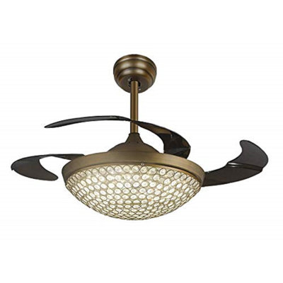 Hein 42'' Ceiling Fan with LED Lights