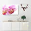 A Pink Orchid Flower - Wrapped Canvas-55368254