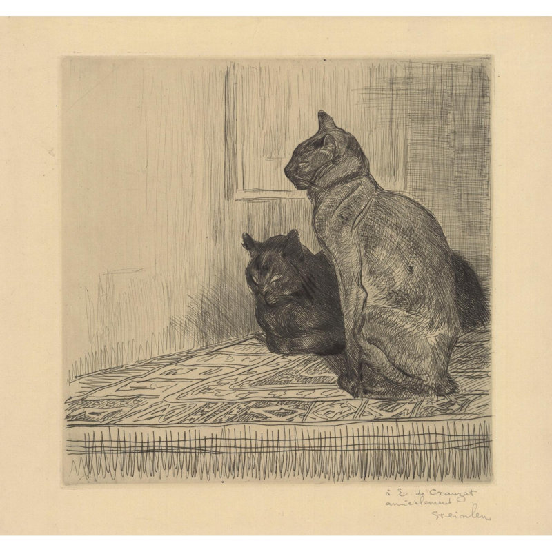 Deux chats cÃ´te Ã  cÃ´te