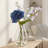 Judkins - White Vase - White, Clear