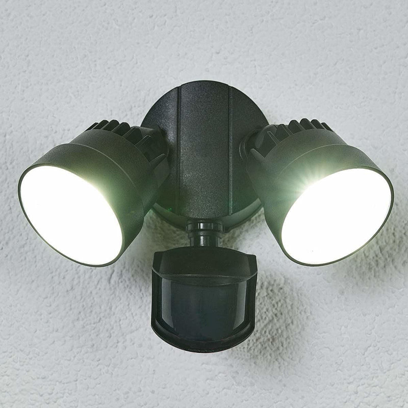 Bruceville Wall Spot Light