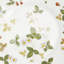 Wild Strawberry Bone China Salad/Dessert Plate