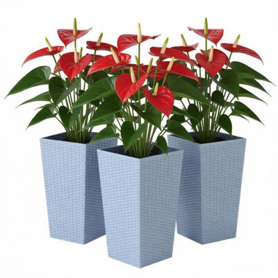 Modern Large Planters Set, Light Gray Polyethylene With Rattan Texture For Patio