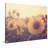 " Sunflower September "-19672668