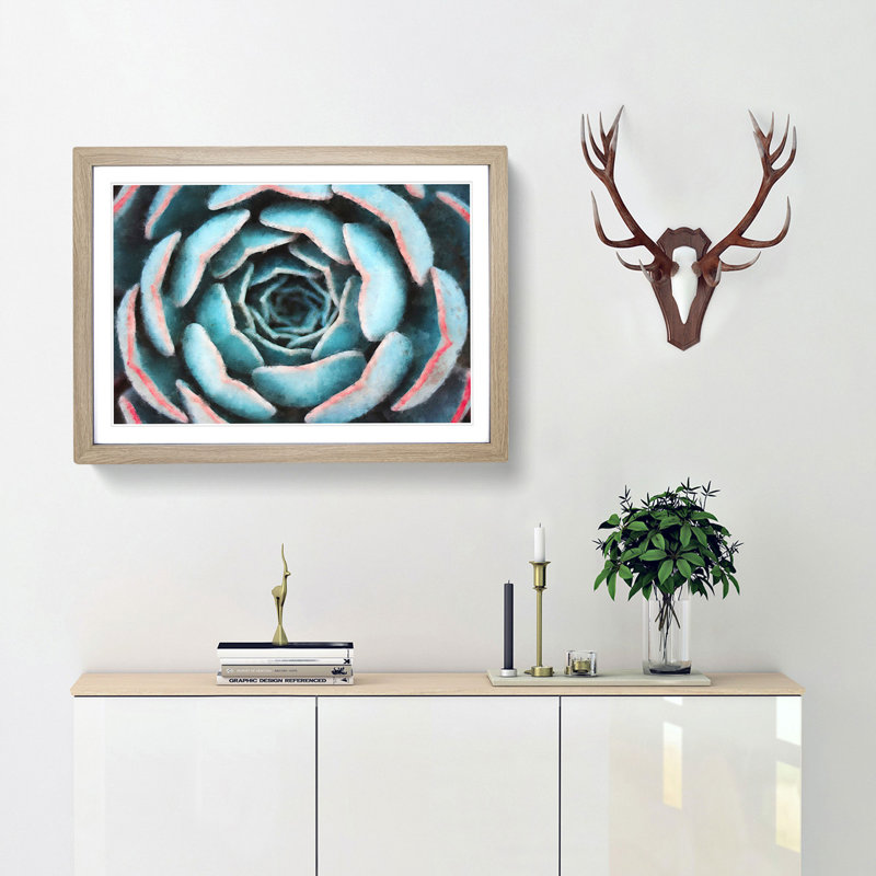 Pink And Green Succulent Plant - Single Picture Frame Print on MDF, Oak, 33cm H x 45cm W x 2cm D