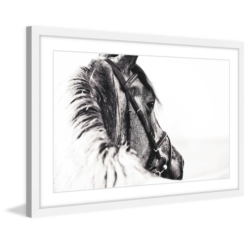 « equus profile », reproduction de photo sur papier encadrée, H 30 po x l 45 po x P 1,5 po