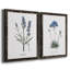 Lavande - ensemble de 2 reproductions d'impressions-467967545-467967551-484035729