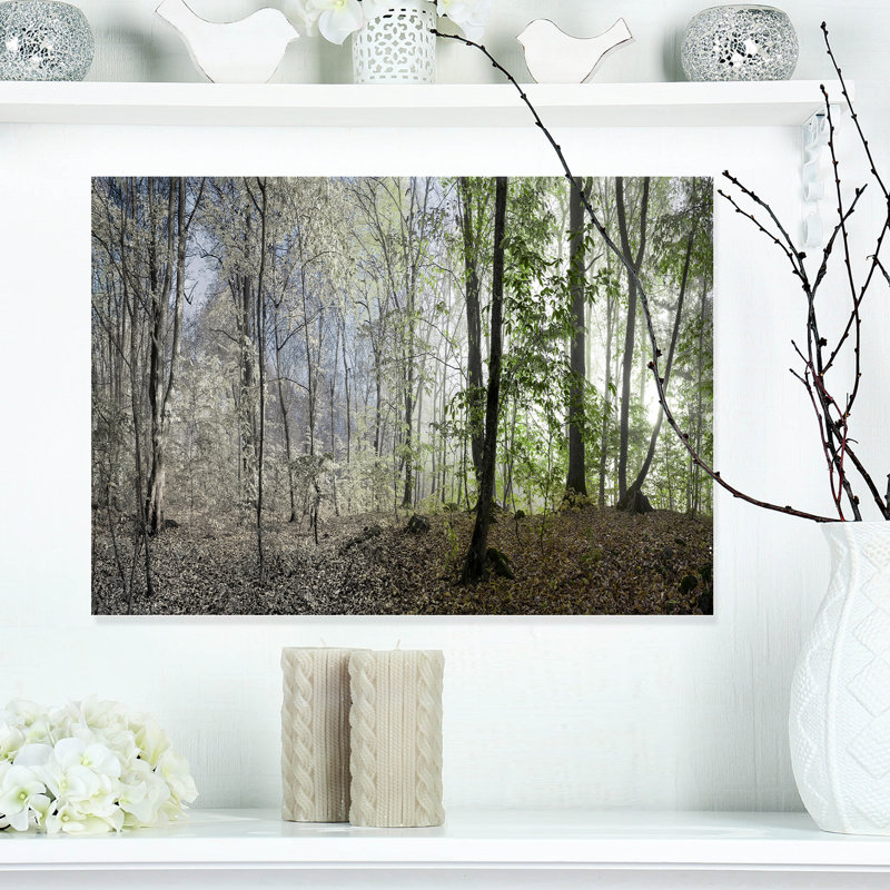 Green Morning Forest Panorama Canvas Art Print