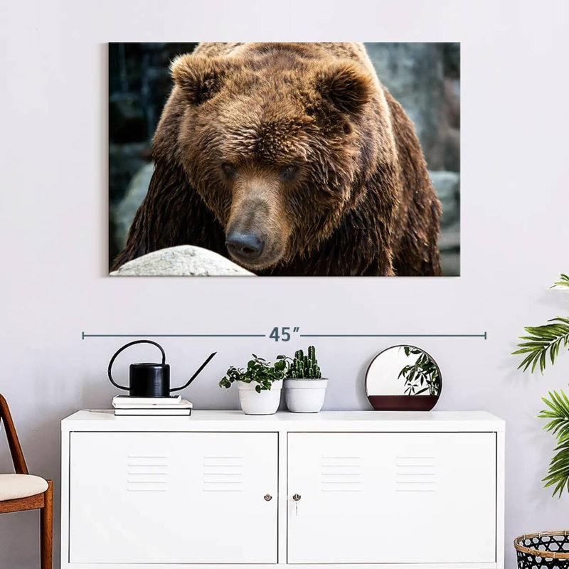 Brampt Kamchatka Brown Bear, 26" H x 39" W