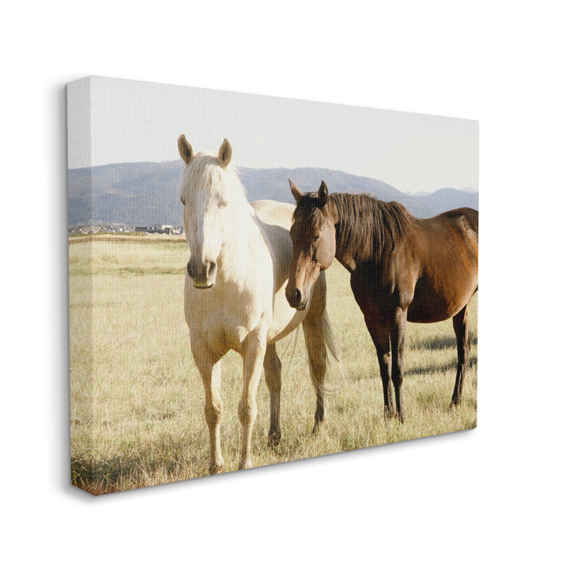 "Rurale, chevaux, nature, animal" par Emily Navas - Photographie sur toile tendue, H 24 po x l 30 po x P 1,5 po