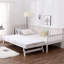 Althera Daybed with Trundle and Mattress