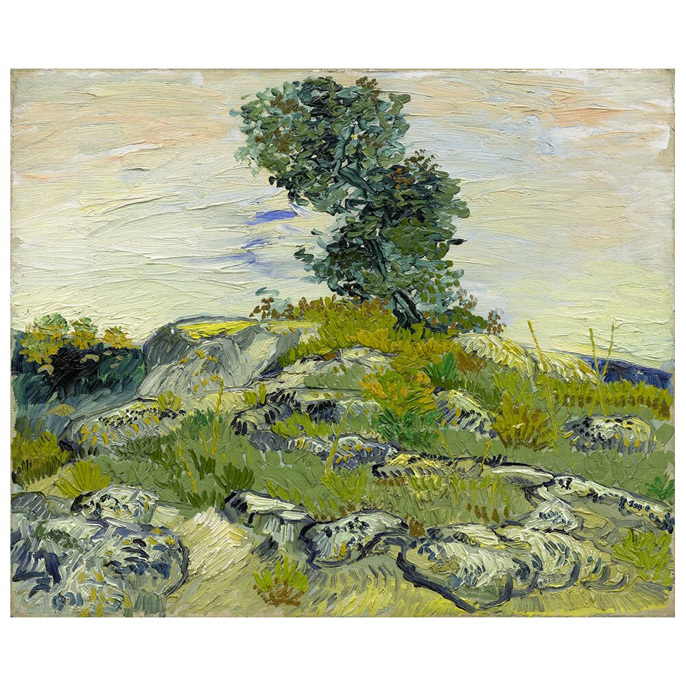 Leinwandbild Die Felsen von Vincent Van Gogh