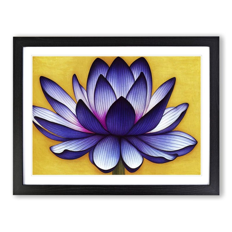 Exotic Lotus Flower - Single Picture Frame Print, Black Framed, 46cm H x 64cm W x 2cm D