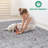 LOOM & LUXE Collection 5X7 Non-Shedding Living Room Bedroom Dining Home Office Stylish And Stain Resistant Area Rug-99361124