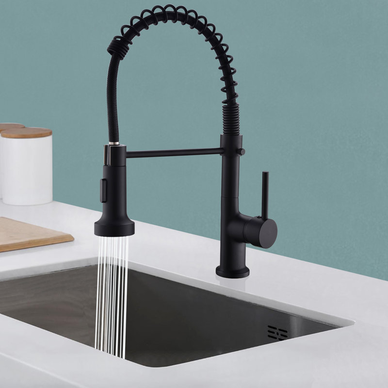 Robinets de cuisine avec douchette rétractable, robinet d'évier de cuisine noir commercial en laiton massif, Noir