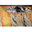 Tapis oriental contemporain à motif végétal noué à la main 6 x 10