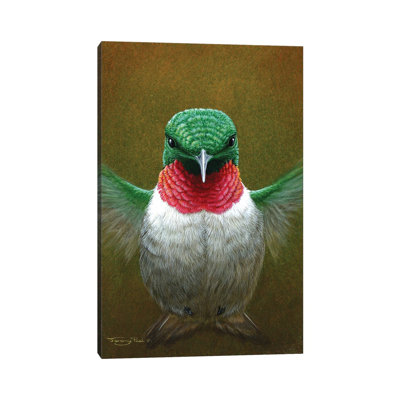 Hummingbird 1 Piece Wrapped Canvas Painting