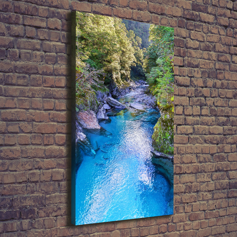 Raspberries - Wrapped Canvas Print