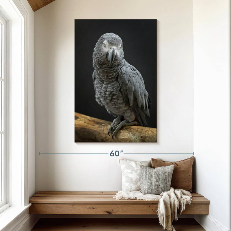 Brampt Congo Grey Parrot, 48" H x 32" W