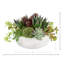Agave, plante grasse et Sedum disposés dans un pot en pierre