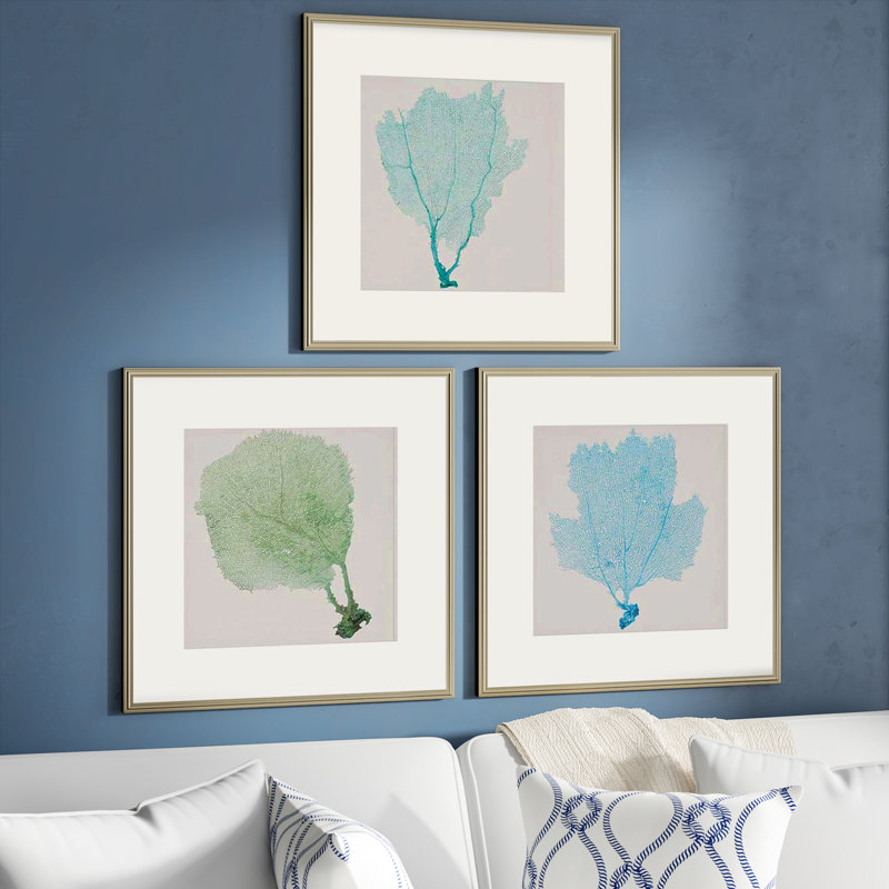 «Sea Fan I Giclee», ensemble de 3 reproductions d'art sur papier encadrées
