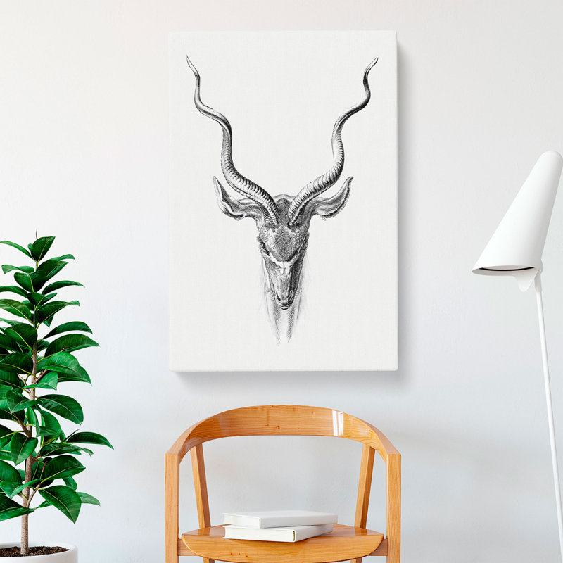 Vintage Antelope Vol.1 by Ernst Haeckel - Wrapped Canvas, 50cm H x 35cm W x 3cm D