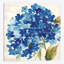 «Hampton Hydrangea II» par Asia Jensen, reproduction sur toile-31864651-73205564-73205569