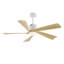Ventilateur de plafond à DEL 5 pales 52 po avec ensemble d'éclairage et télécommande-6282389
