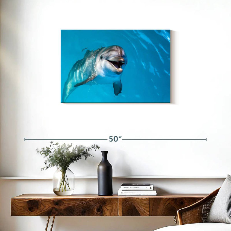 Brampt Dolphin's Smile