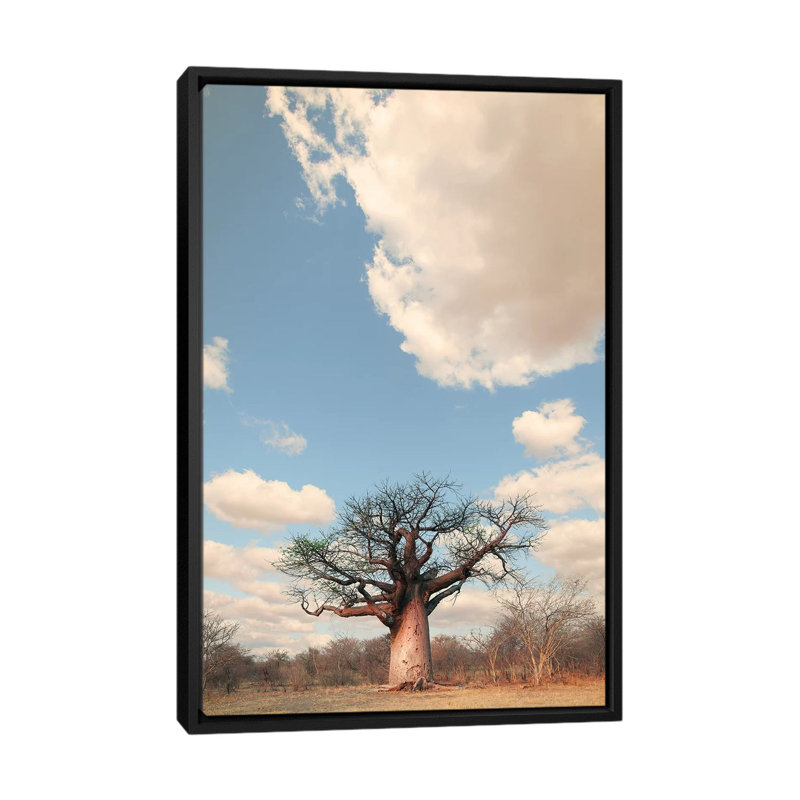 Naye Naye Baobab I by Klaus Tiedge - Print on Canvas, 66.04 cm H x 45.72 cm W, Black Framed