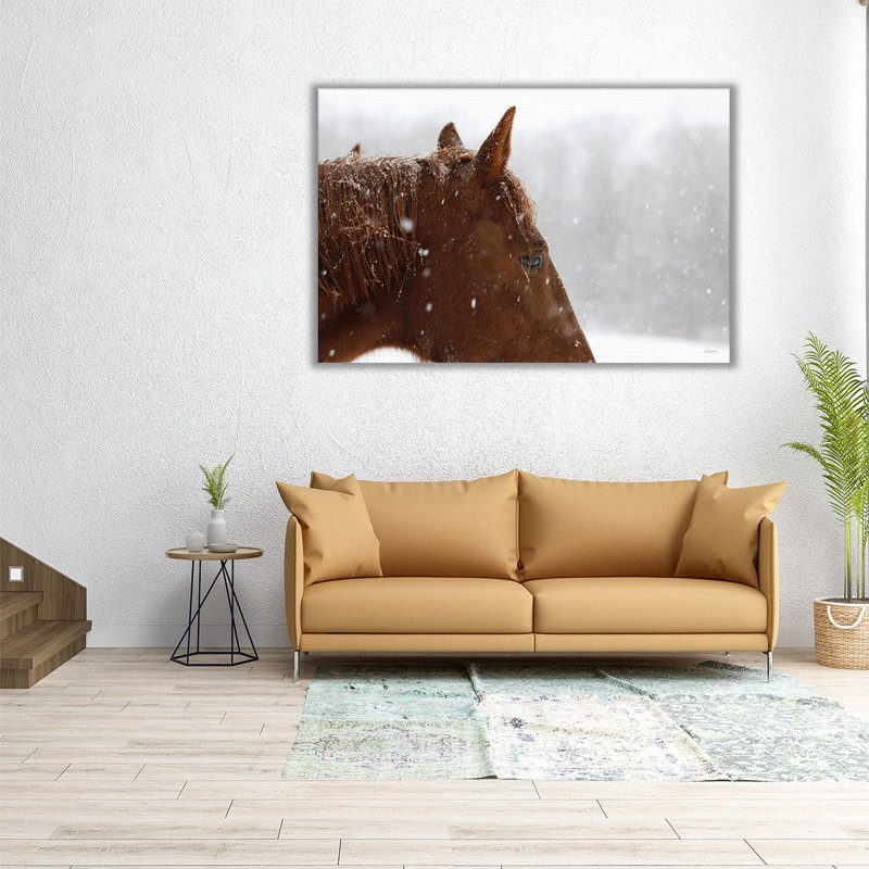 Snowy Caleb - Canvas Print Wall Art, 20" H x 30" W